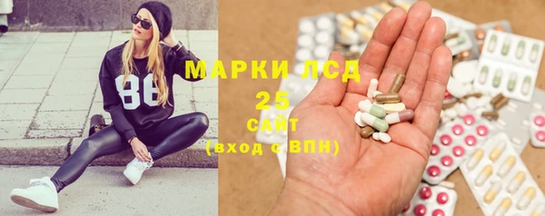 прущий лед Алзамай