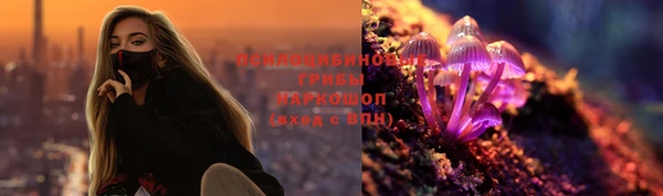 прущий лед Алзамай