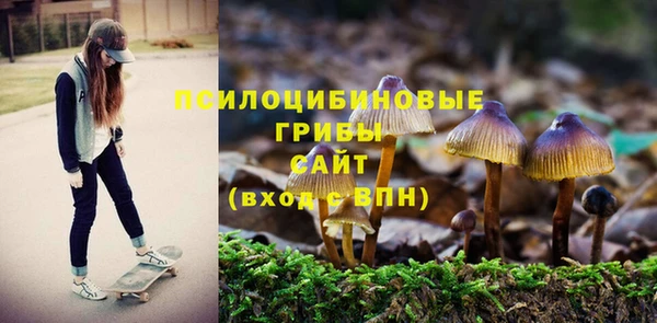 дмт Алексеевка